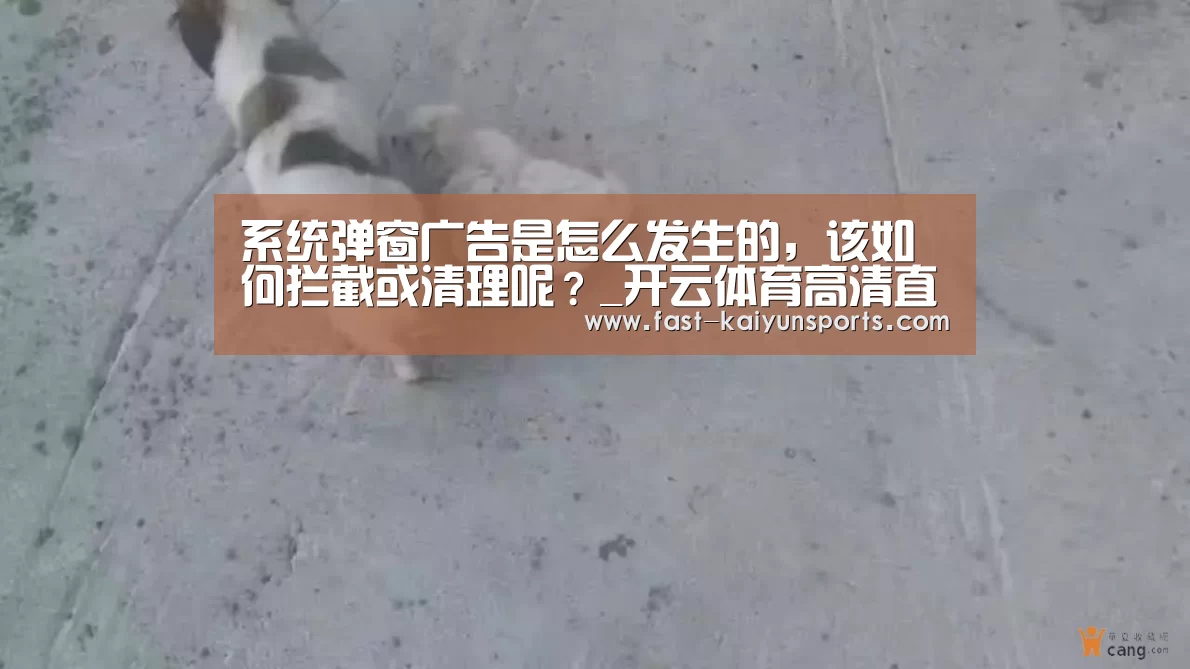 开云体育入口