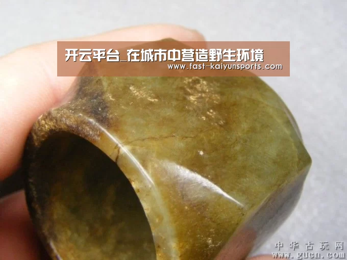开云平台_在城市中营造野生环境(图2) KAIYUN中国站
