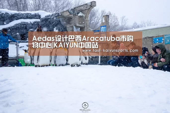 Aedas设计巴西Aracatuba市购物中心|KAIYUN中国站(图3) KAIYUN中国站