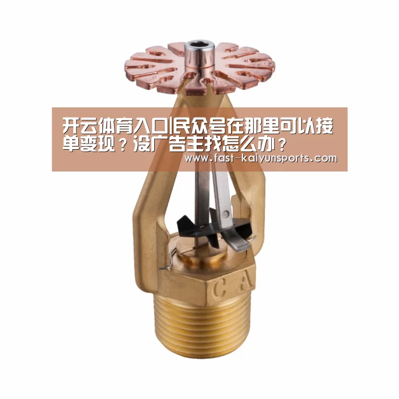 开云体育入口|民众号在那里可以接单变现?没广告主找怎么办?(图2) KAIYUN中国站