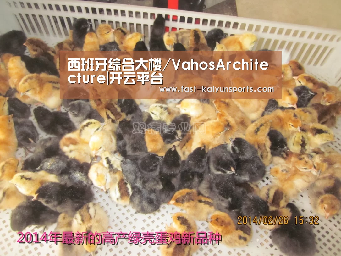 西班牙综合大楼/VahosArchitecture|开云平台(图2) 开云体育入口
