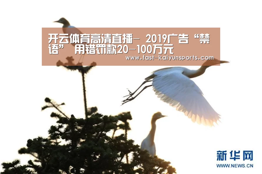 开云体育数据中心