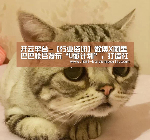 开云平台-【行业资讯】微博X阿里巴巴联合发布“U微计划”,打造社交✖消费全域解决方案(图3) 开云体育入口
