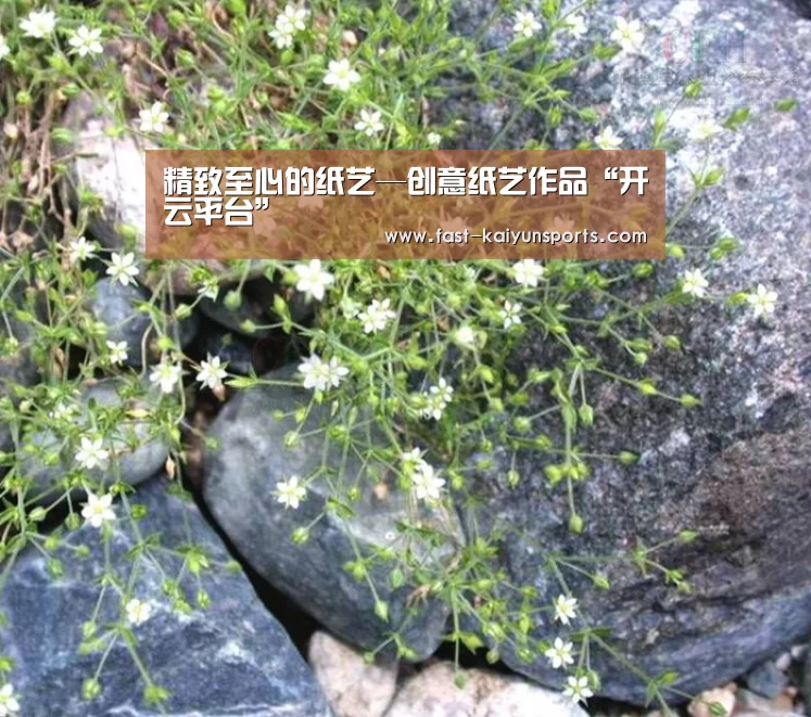 精致至心的纸艺—创意纸艺作品“开云平台”(图1) KAIYUN中国站